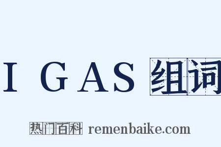 IGAS组词是什么意思的图片